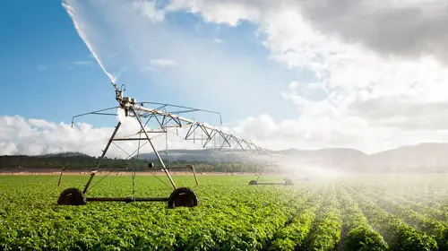 Irrigation and Agriculture