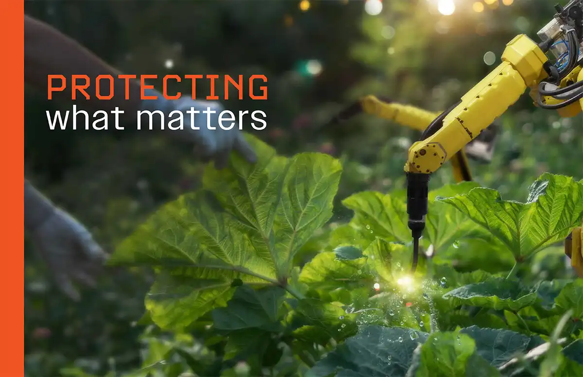 Sustainability Report - Protecting