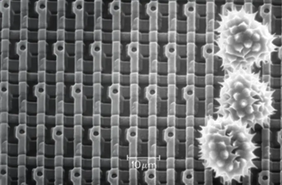 Figure 2. Semiconductor wafer image with deposited particles.