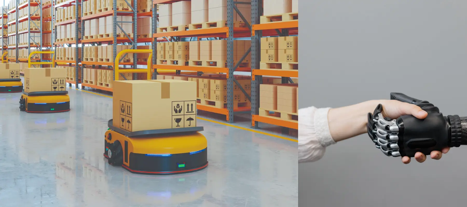 Has a robotic arm as well as a automated warehouse robot