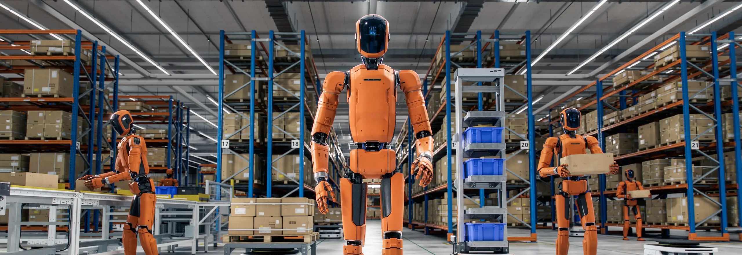 Humanoid Robot at Distribution Center